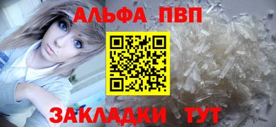 шишки Кингисепп