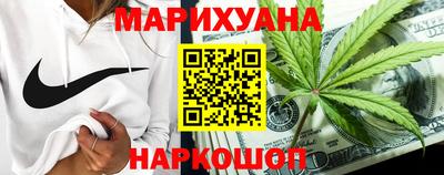 шишки Кингисепп