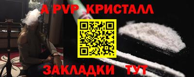 шишки Кингисепп