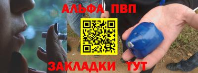 шишки Кингисепп