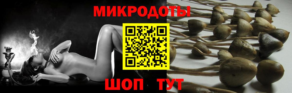 Галлюциногенные грибы MAGIC MUSHROOMS Джанкой