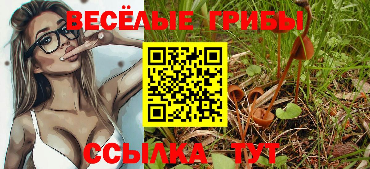 Псилоцибиновые грибы прущие грибы  Вход с VPN  Галлюциногенные грибы мухоморы  Джанкой 